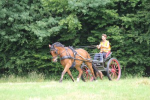 Krümel im Feld