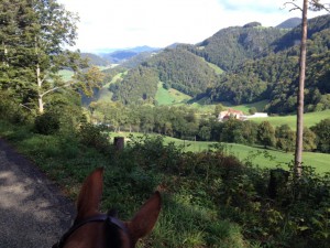 Der Blick auf den Lauwilberg